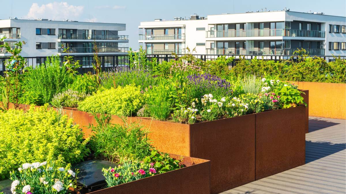 Apartment with flower beds on roof